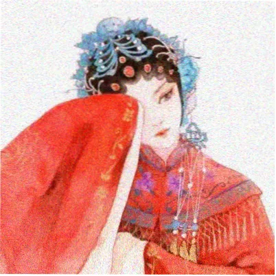 读者阿禾的头像